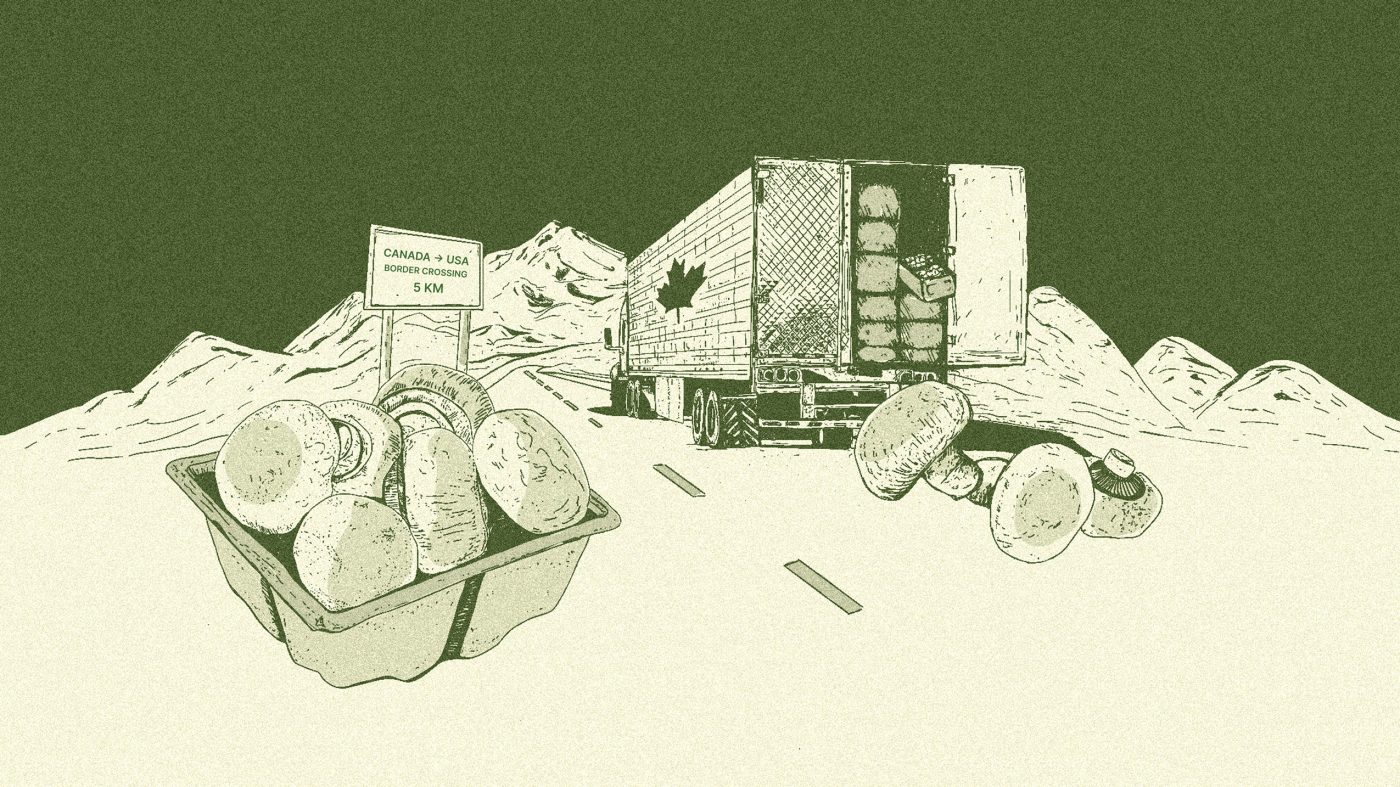 An illustration showing a long-haul truck and a tray of mushrooms.
