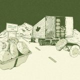 An illustration showing a long-haul truck and a tray of mushrooms.