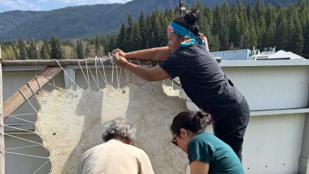 Three people are stretching an animal hide.