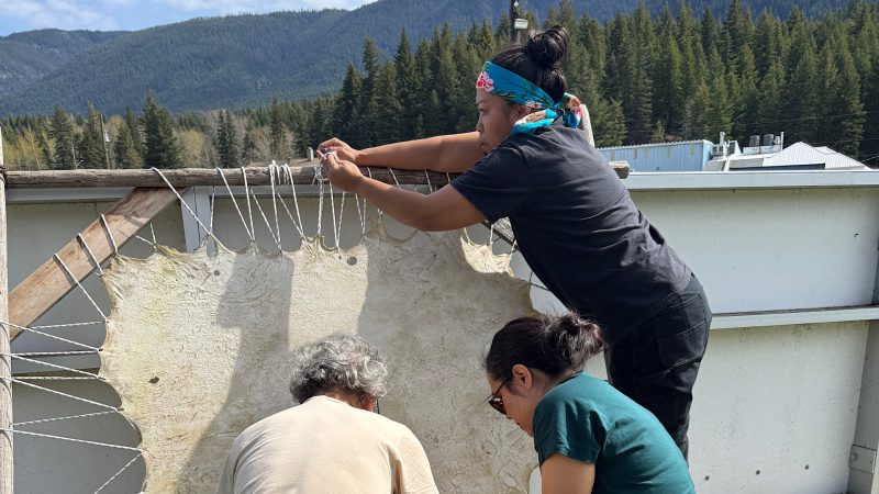 Three people are stretching an animal hide.
