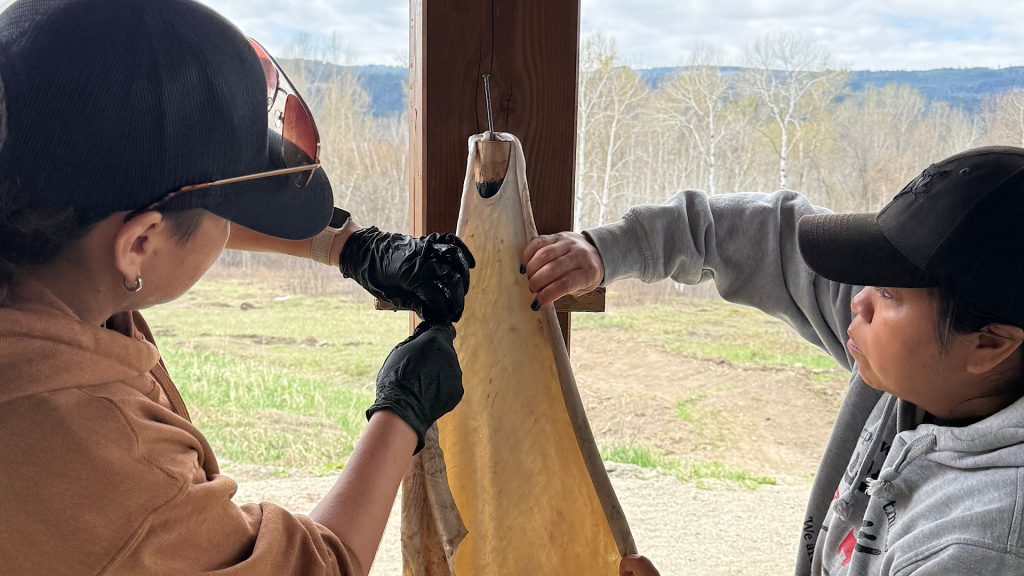 Two women hold and stretch an animal hide. The practice is labour intensive and takes many helping hands. Photo: Tiffany Bowser