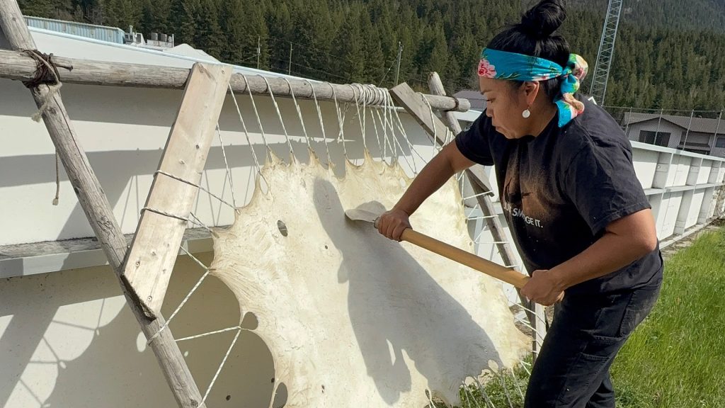 A woman is seeing scrapping an animal hide in the process of tanning it.