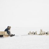 A sled dog racer sits on a sled next to about ten dogs in a snowy landscape.