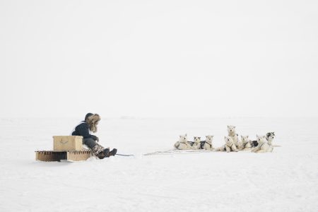 A sled dog racer sits on a sled next to about ten dogs in a snowy landscape.