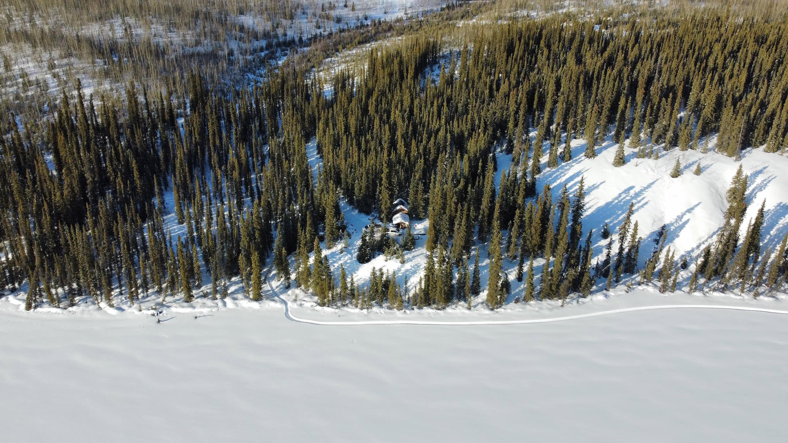 An aerial view of an alpine forest edging onto a frozen lake, with a smattering of wooden cabins at the border.