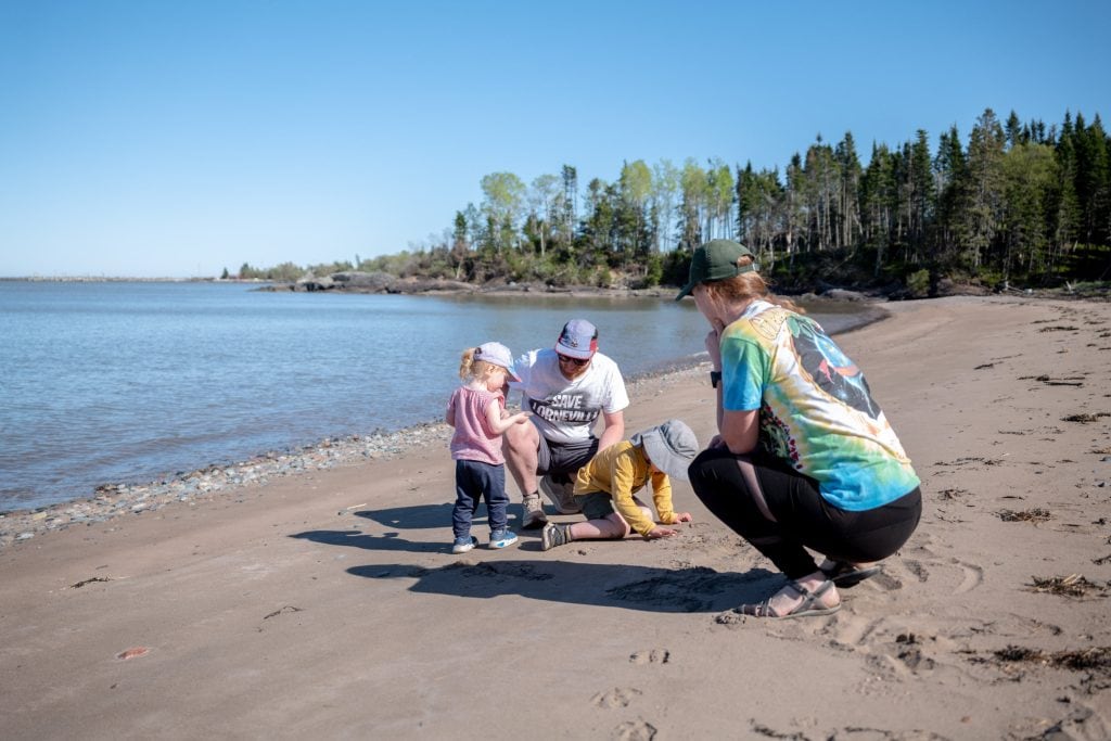 A family with two children plays on a beach.