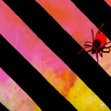A tick crawling on a background of pink and orange hues beside black stripes