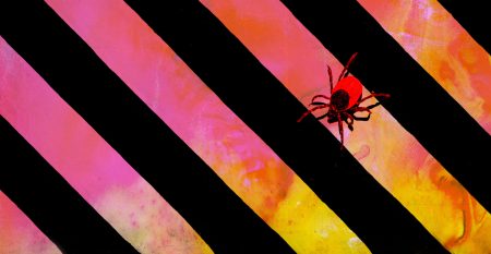 A tick crawling on a background of pink and orange hues beside black stripes