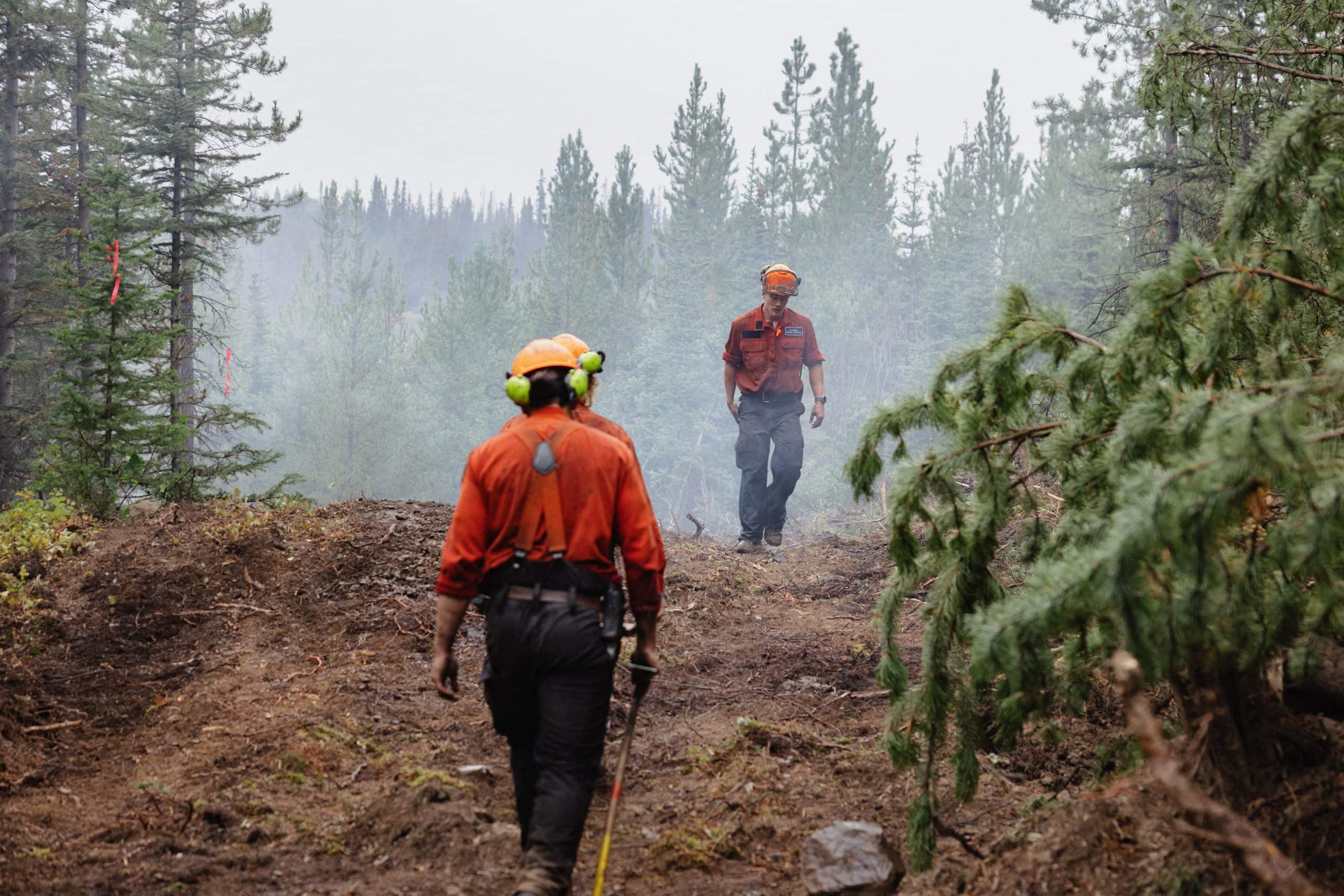 Firefighters walk through a smoky forest with their heads hanging.
