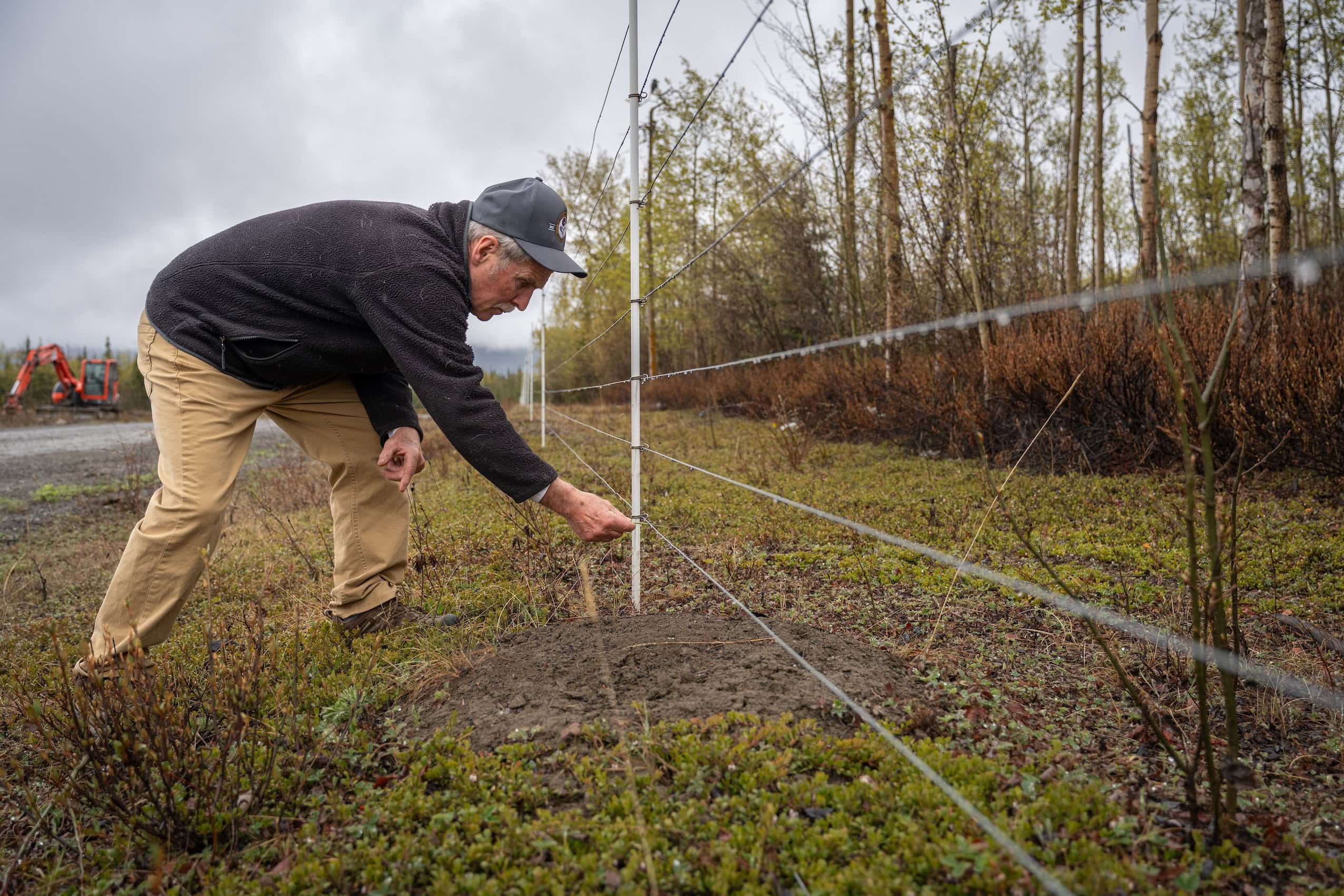 Dan Drummong reaching down to test the current on a wire fence with a blade of grass.
