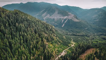 An aerial view of a mountain landscape that is mostly forested, except for areas that have been logged.