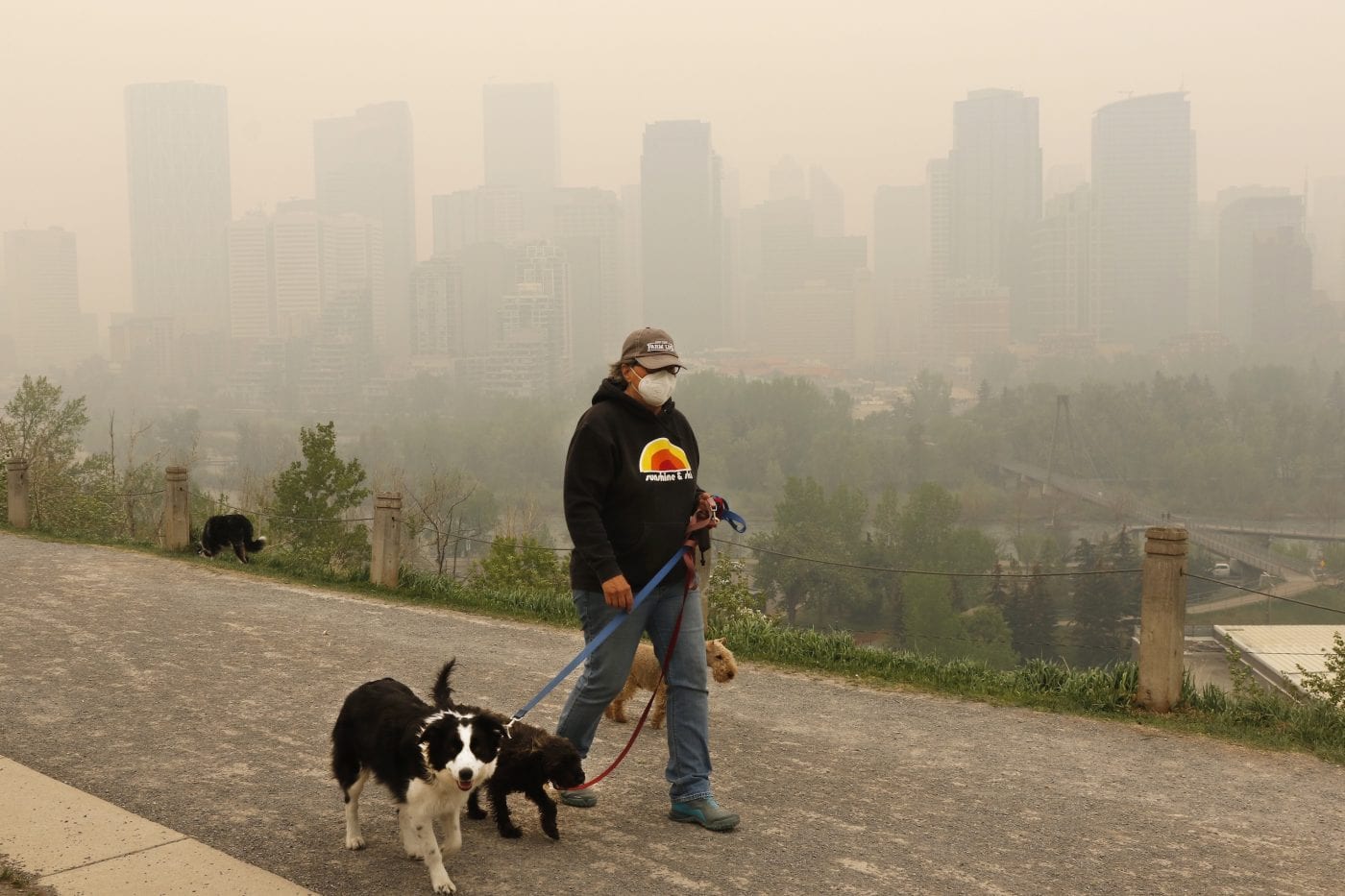A person walks their dog against Calgary's wildfire-smoke-coloured skyline.