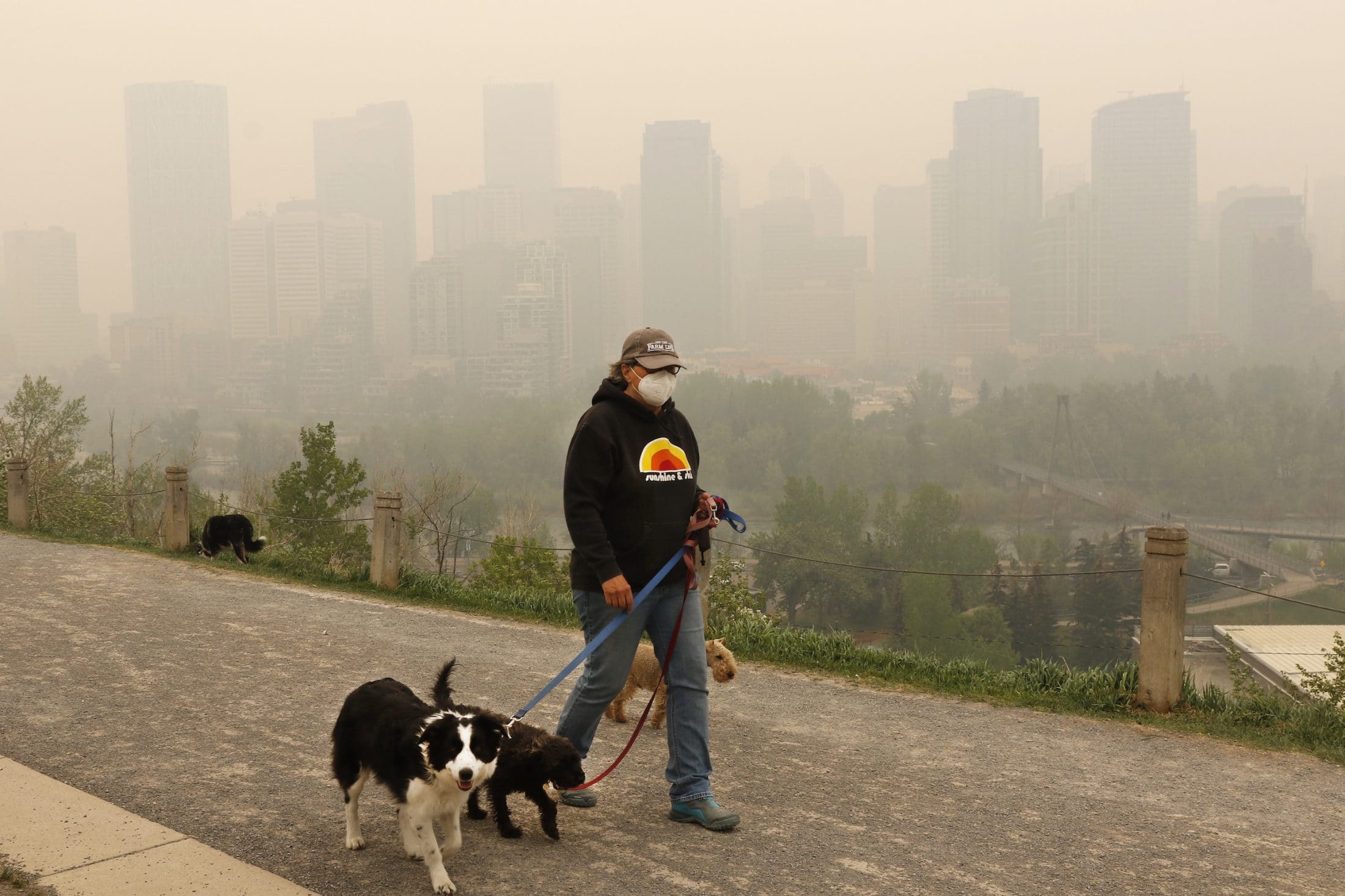 A person walks their dog against Calgary's wildfire-smoke-coloured skyline.