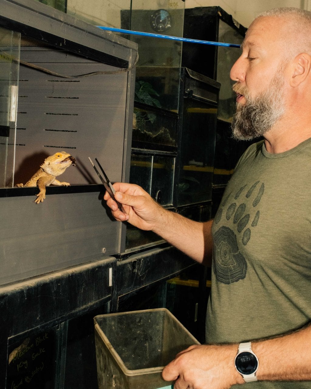 A bald man wearing a green shirt feeds a reptile