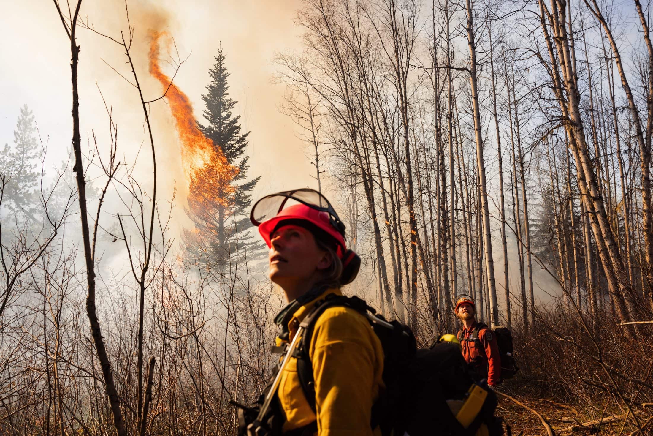 Two firefighters in gear look toward the sky as a fire burns in the forest behind them.