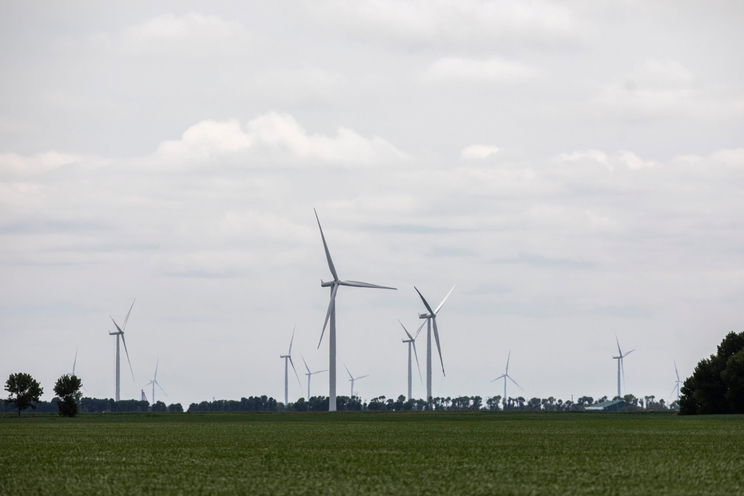 Wind turbines in a rural area of Manitoba in July 2026.