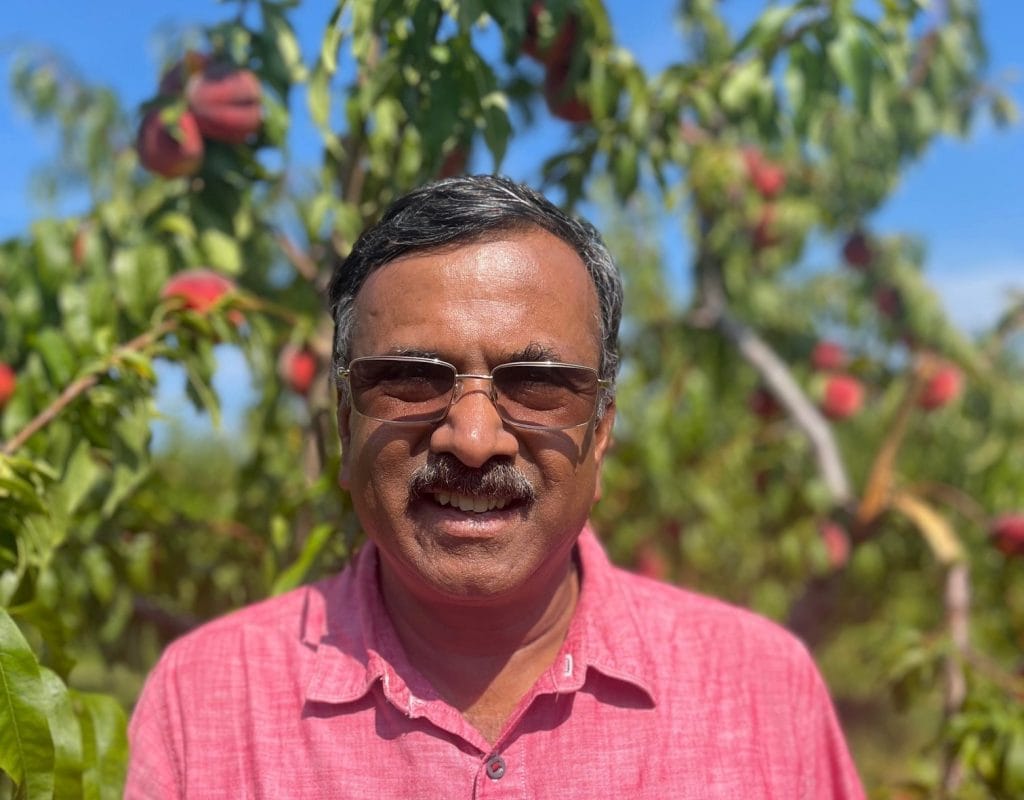 A photo of tender fruit breeder Jay Subramanian in a red shirt and sunglasses, in a peach orchard.