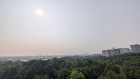 Smoke-filled skies as the sun rises over trees and apartment buildings