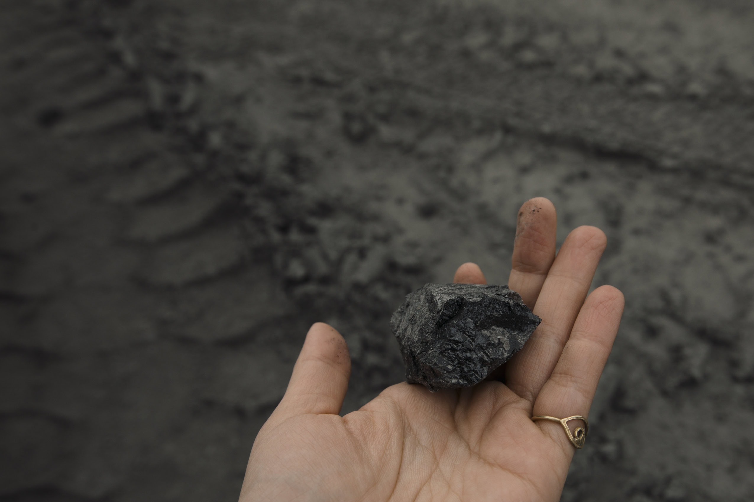 A hand holds a piece of coal.