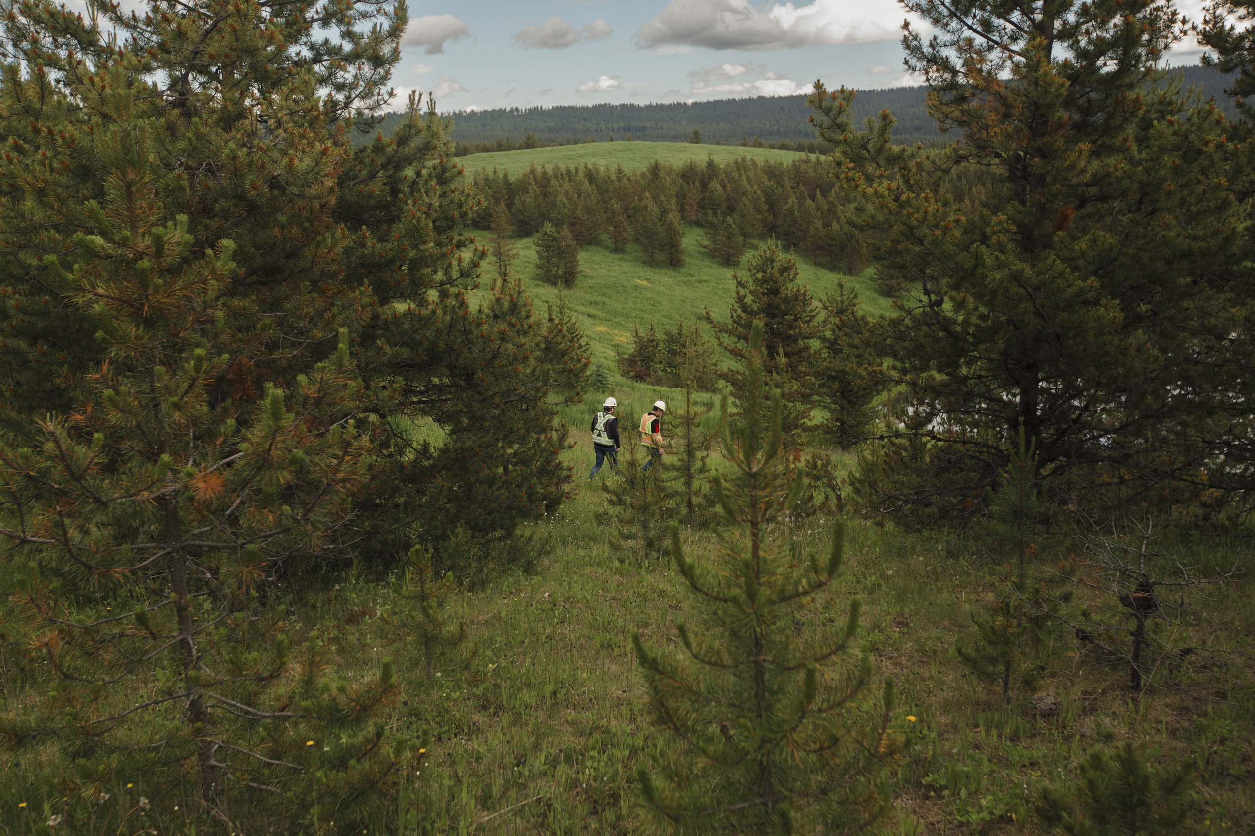 Two workers wearing hard hats and reflective vests walk in a reclaimed coal mining pit, where trees and grasses are growing.
