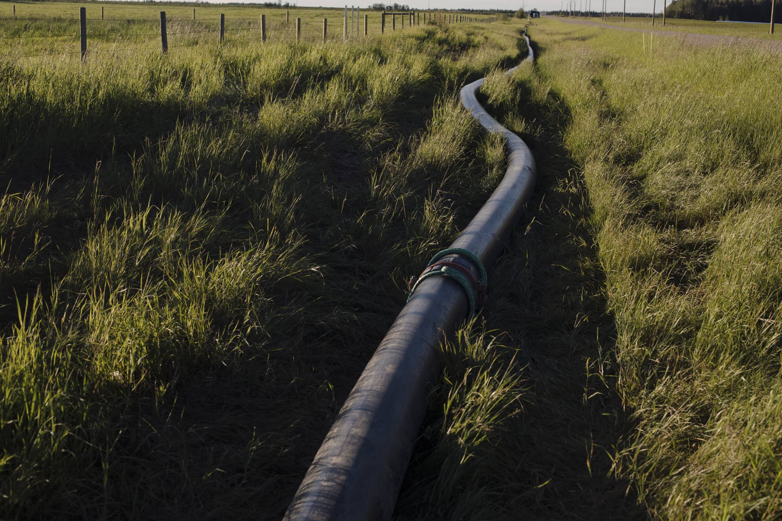 A high pressure hose snakes through the grass in a ditch off of a rural Alberta road.