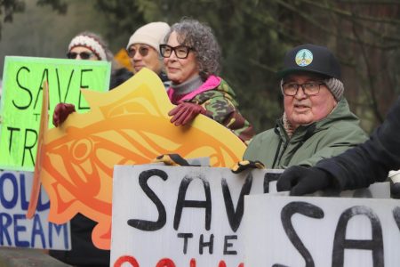Several people stand on a roadside holding protest signs that say, save the salmon, save the trees, save Goldstream