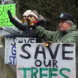 A man in a black cap and green jacket holds a sign saying "SAVE OUR TREES" and waves. He stands by the side of a highway with other people holding signs.