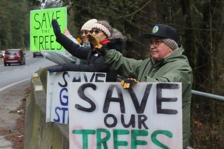 A man in a black cap and green jacket holds a sign saying "SAVE OUR TREES" and waves. He stands by the side of a highway with other people holding signs.