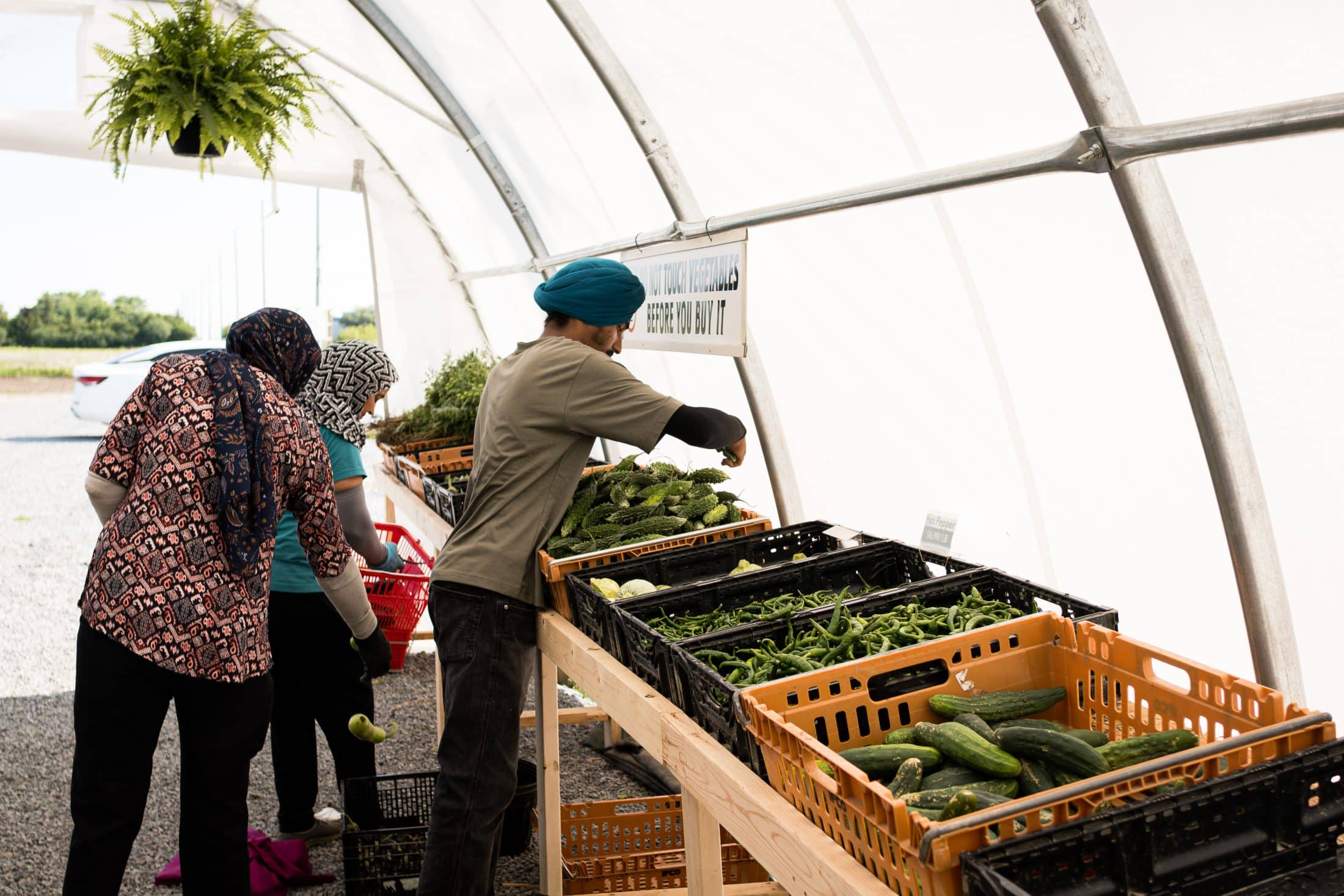 A man and two women put down fresh produce in a white tent