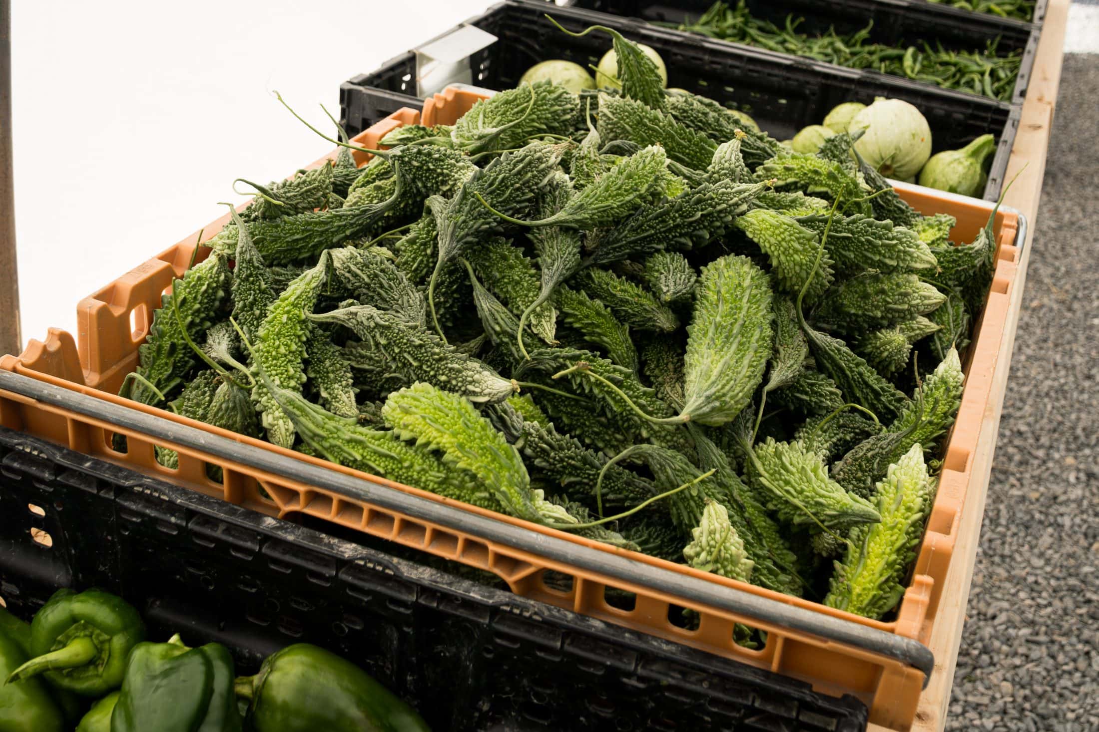 A close up of bitter gourd