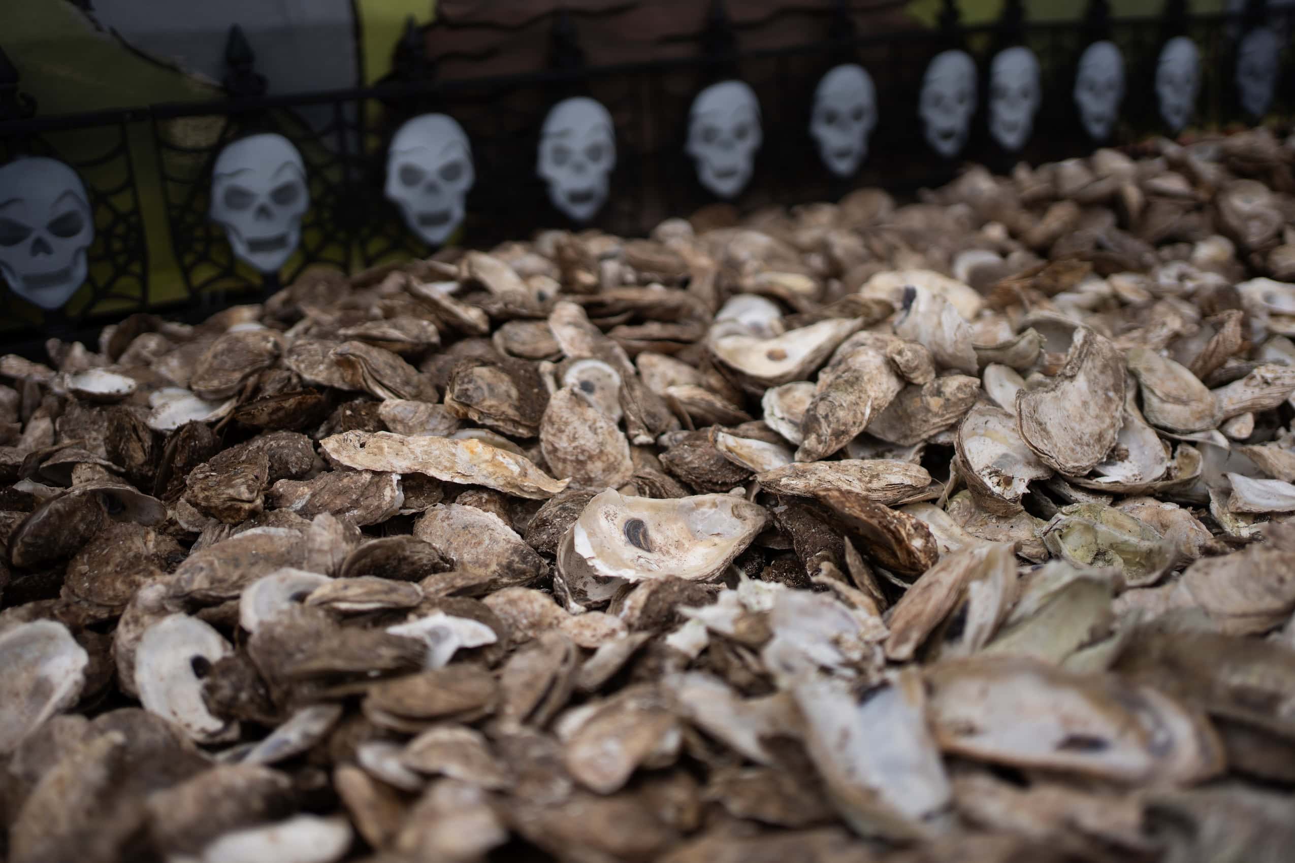 A pile of oyster shells on a parade float.