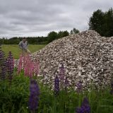 A man stands in front of a pile of oyster shells in a grassy field.