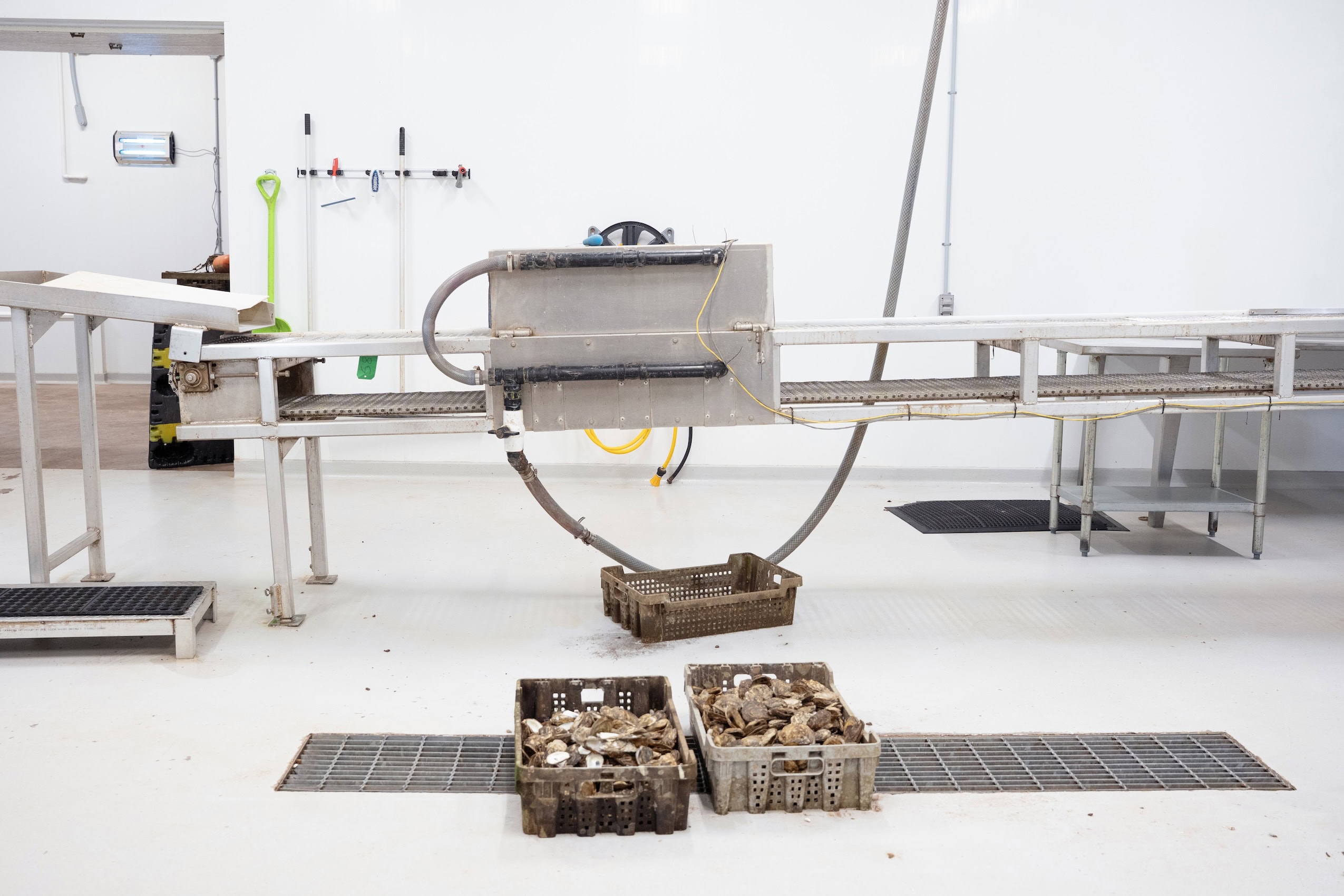 Two oyster trays on the floor of an oyster packing room.