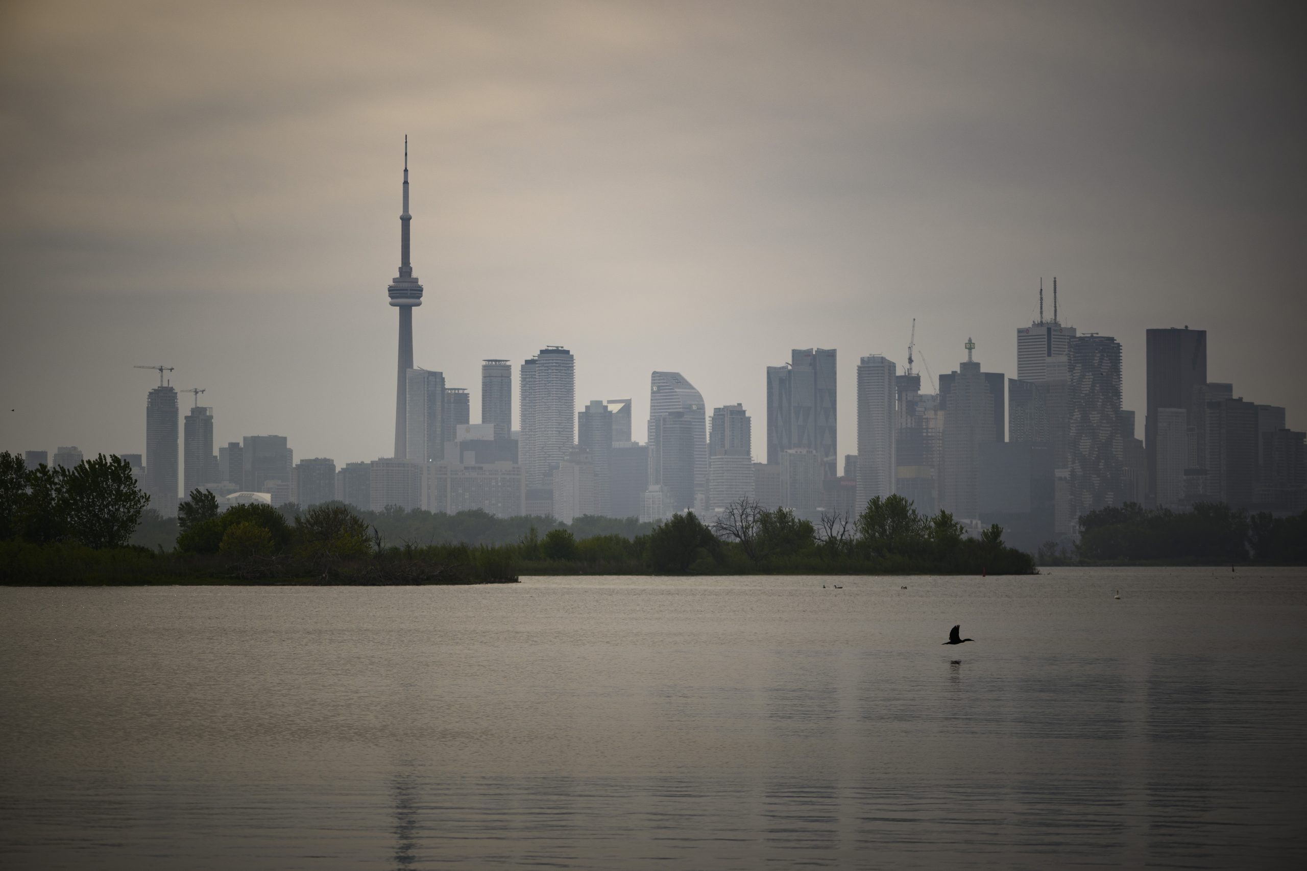 The Toronto city skyscape viewed from across Lake Ontario.