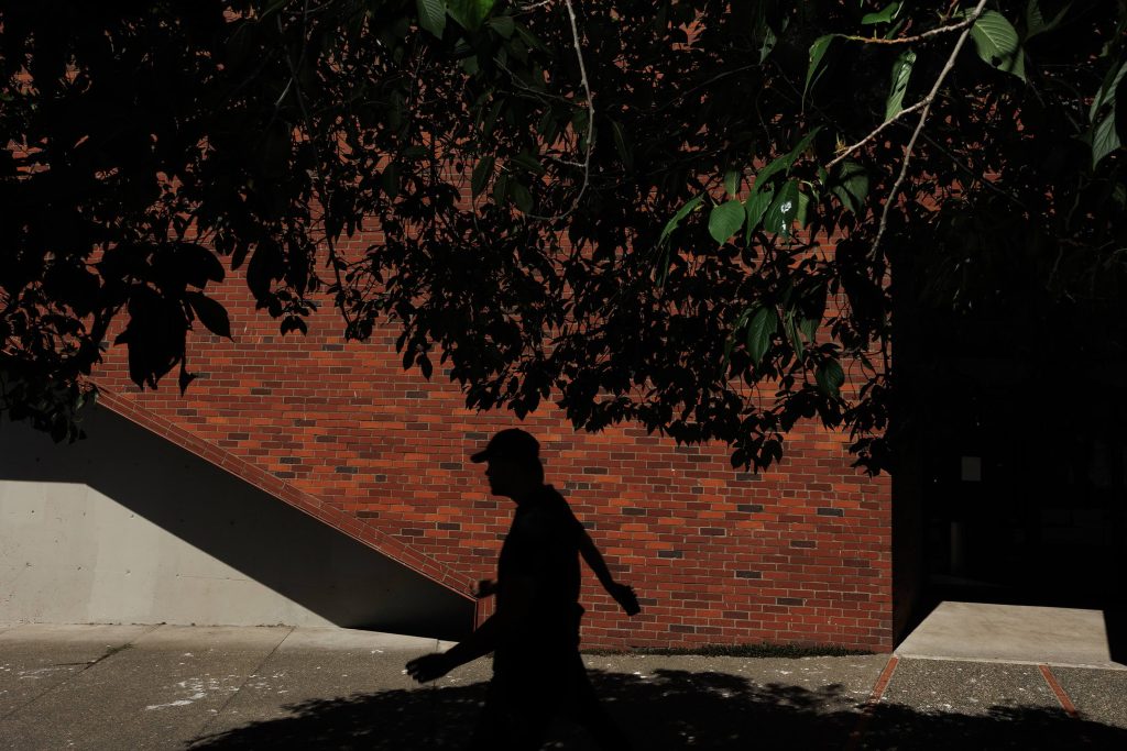 A person's shadow is cast onto a brick wall as they walk down a sidewalk. The shadow of a tree sits on the brick above them