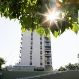 A high-rise apartment building with the sun behind it. In the foreground, tree leaves hang down, sun shining through them