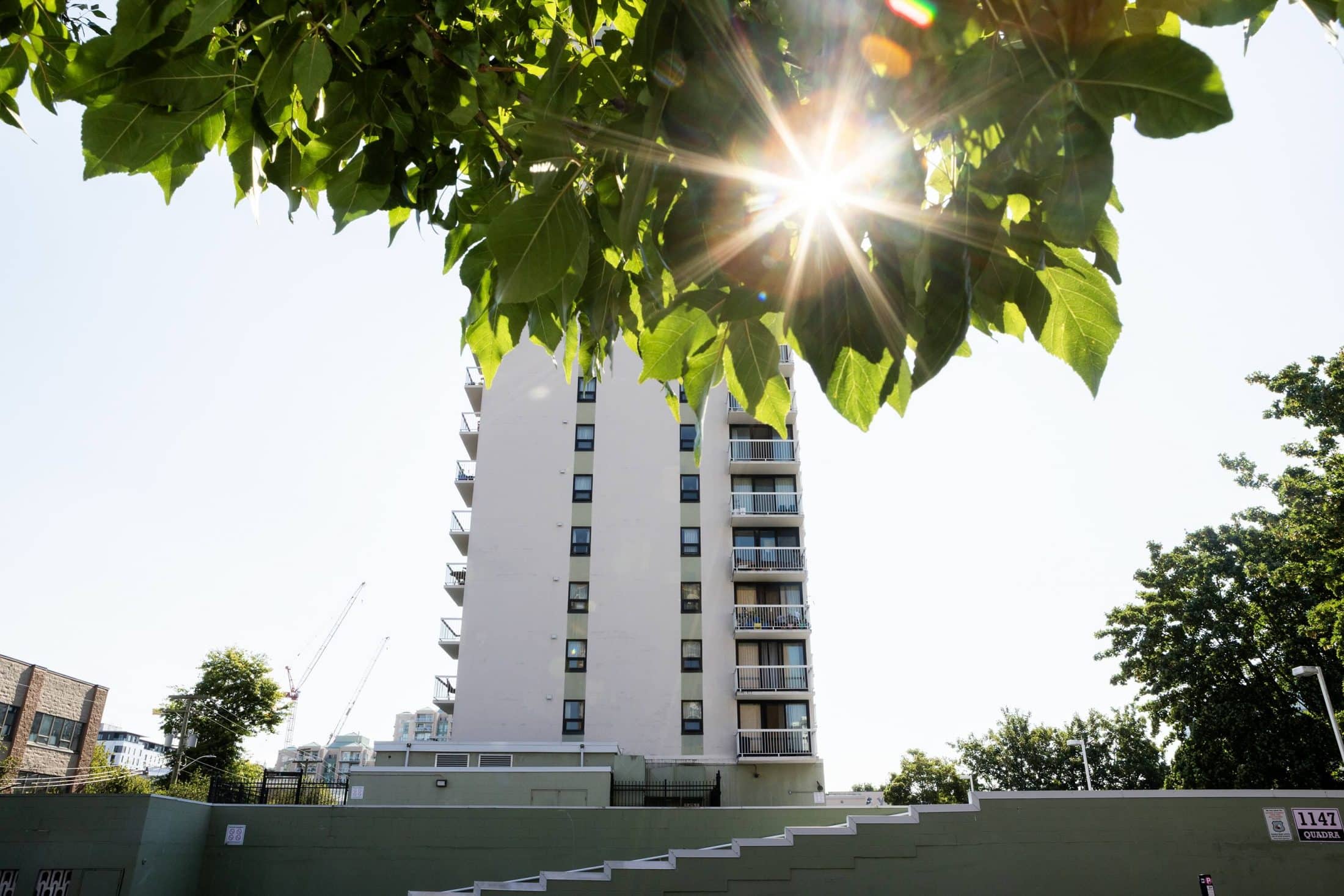 A high-rise apartment building with the sun behind it. In the foreground, tree leaves hang down, sun shining through them