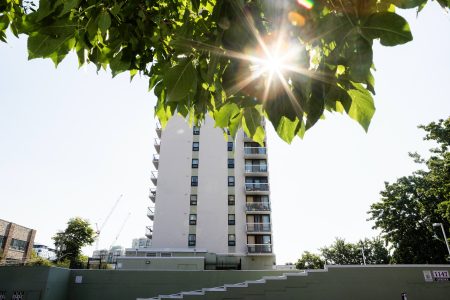 A high-rise apartment building with the sun behind it. In the foreground, tree leaves hang down, sun shining through them