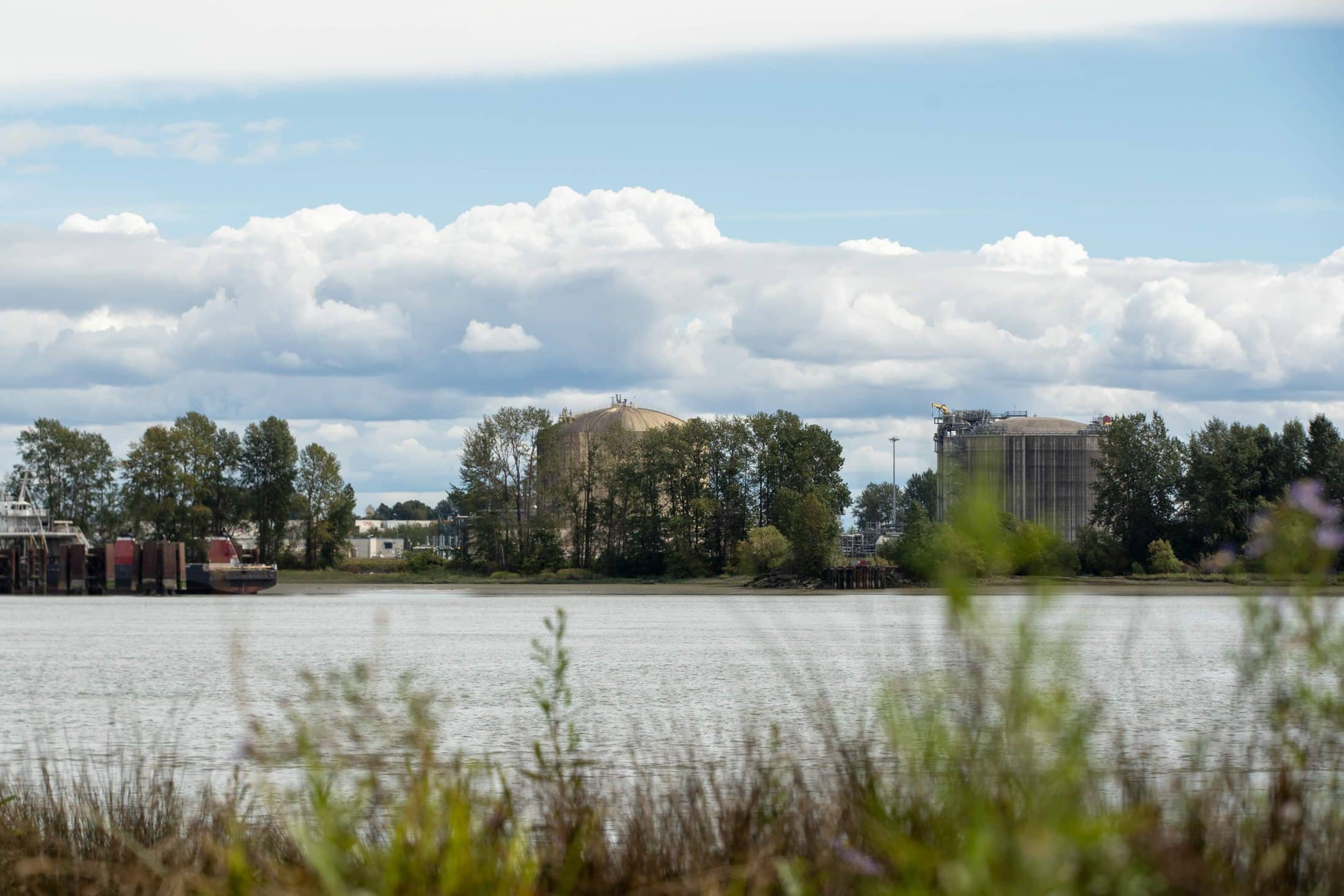 Some plants in the foreground with a river and then buildings and clouds in the background