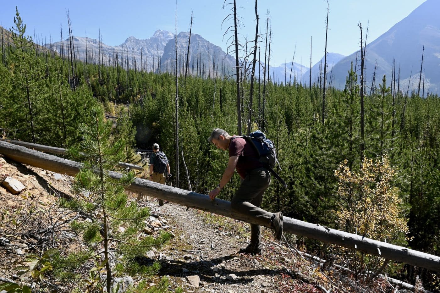 A hiker lifts himself a tree trunk that has fallen across a mountain trail.