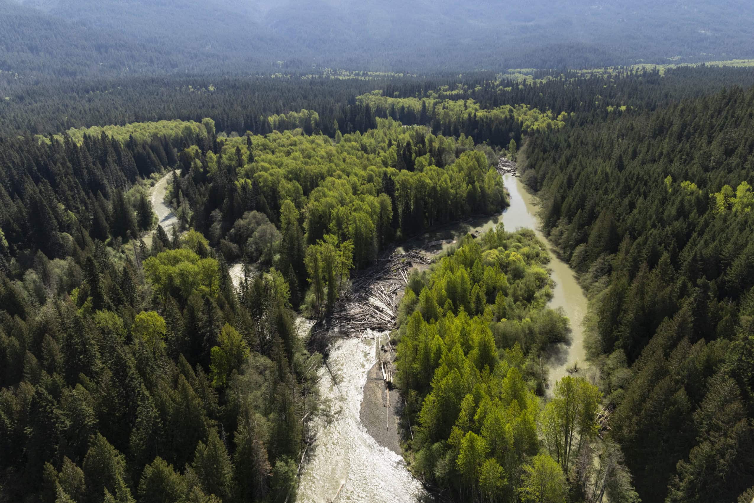 An aerial view of the upper reaches of the Skagit River.