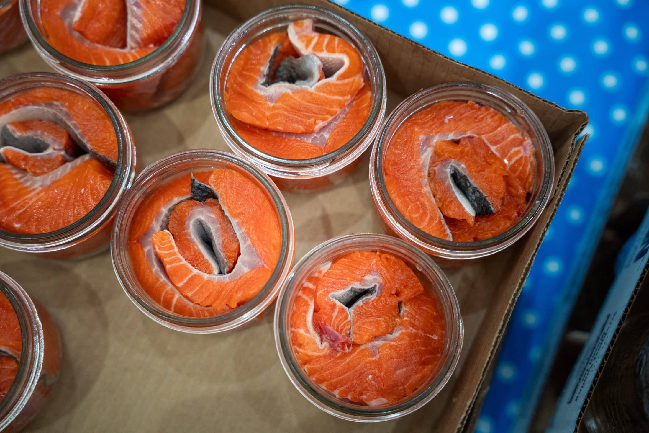 Jars of sockeye salmon sit on a table, about to canned in a pressure cooker.