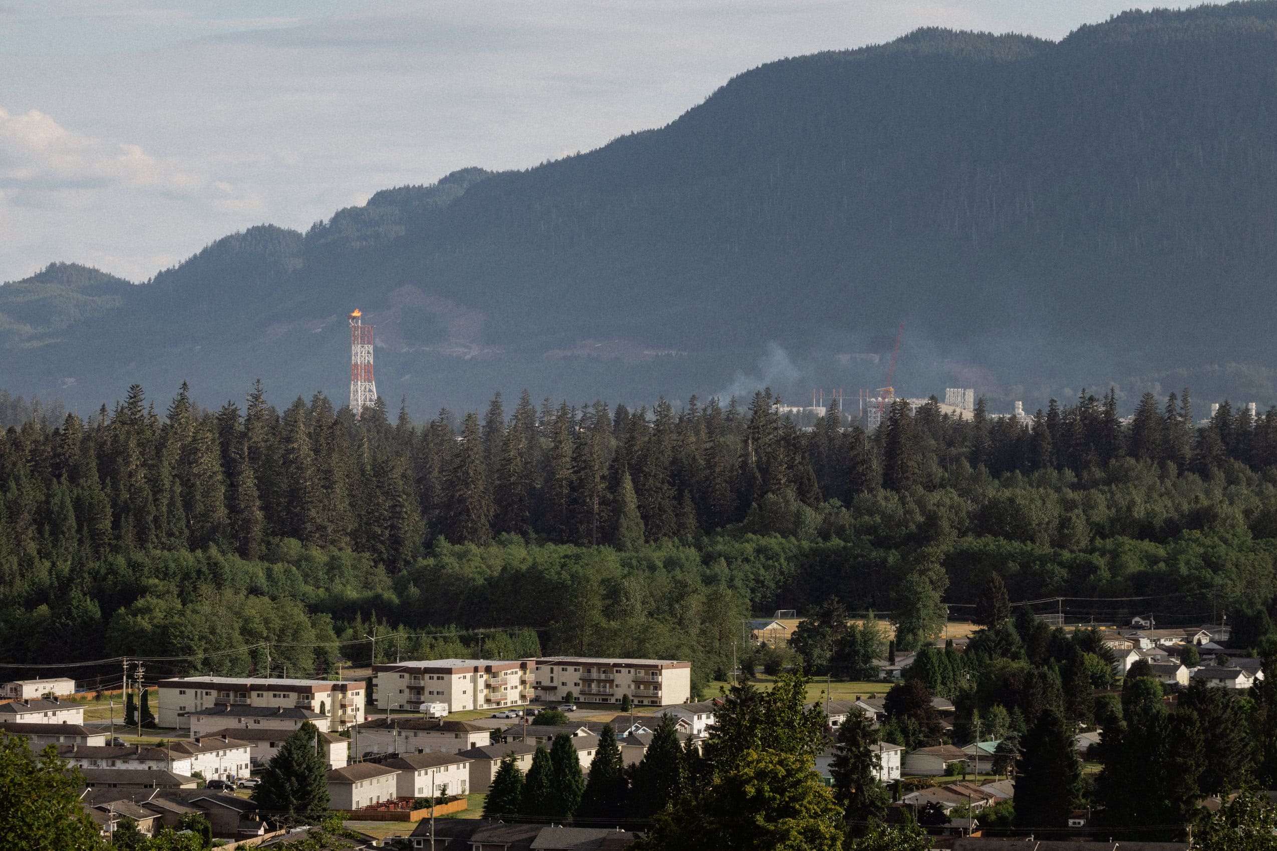 An industrial flare stack with a flame burning at its tip rises above some trees. In the foreground, low-rise residential housing.