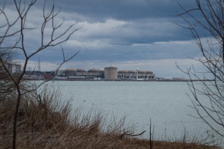 Peeking through bare trees, old, domed buildings sit alongside a river.