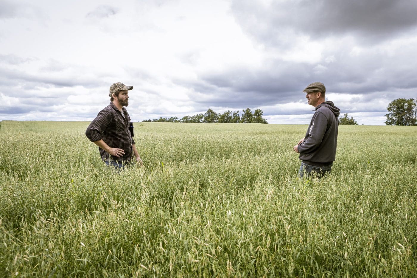 Two men stand in a farm field under cloudy sky