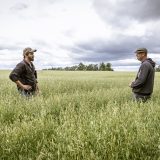 Two men stand in a farm field under cloudy sky