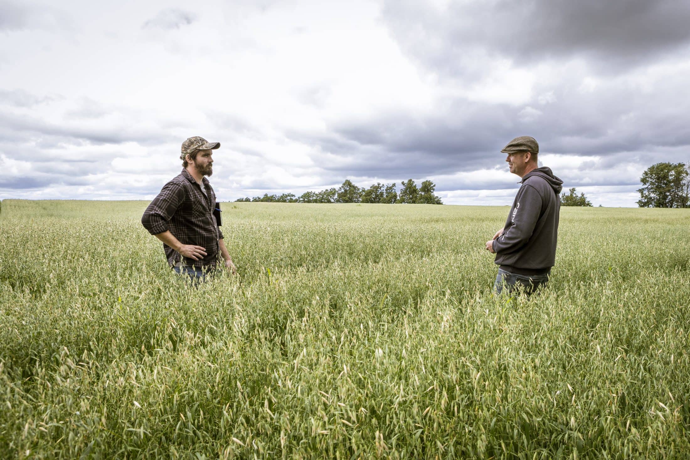 Two men stand in a farm field under cloudy sky