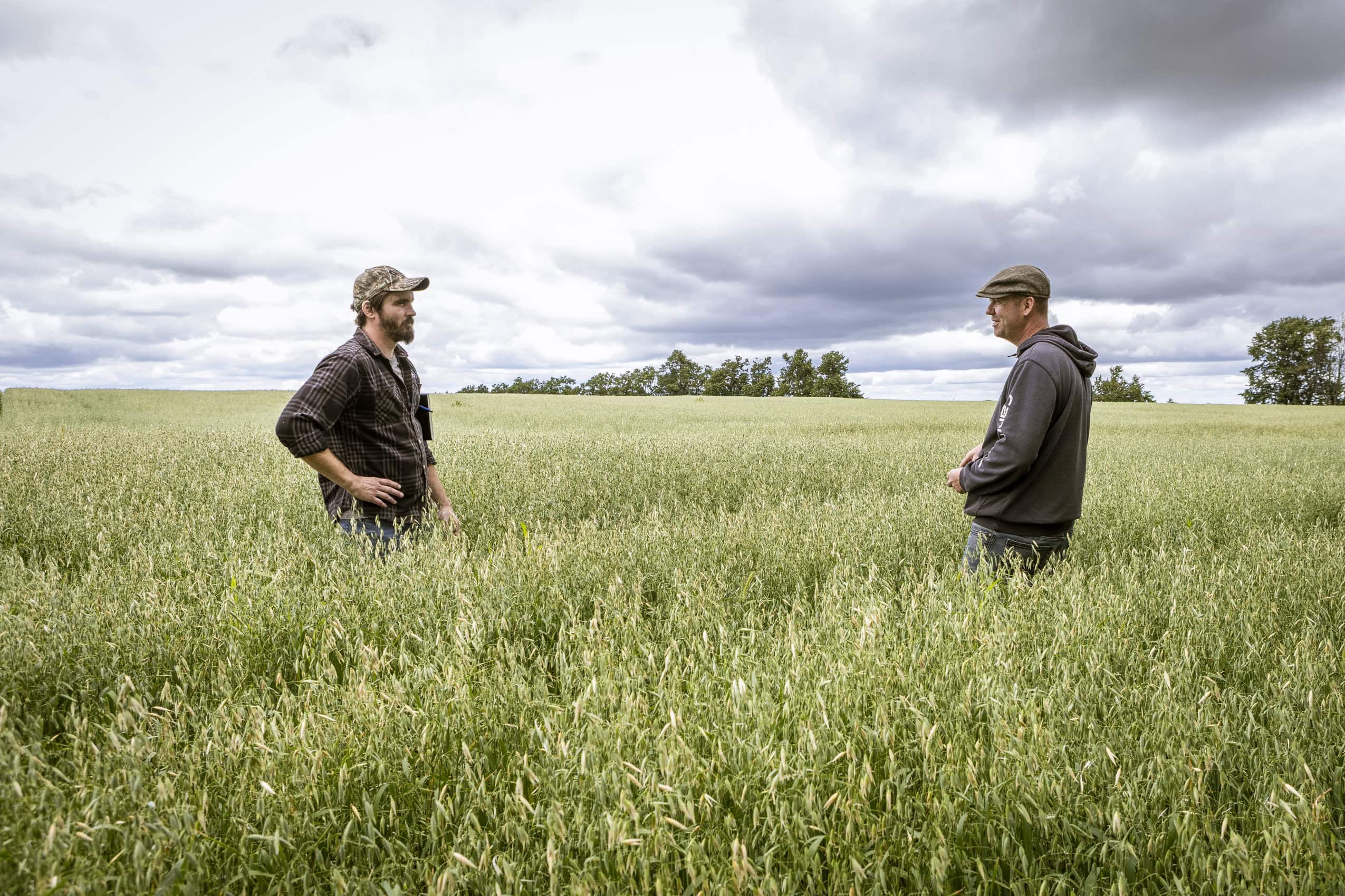 Underwear and turkey eggs: how farmers are finding ways to help the environment