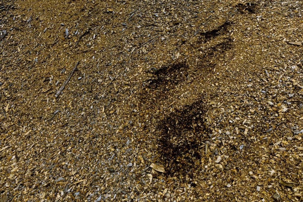 A closeup of a pile of woodchips