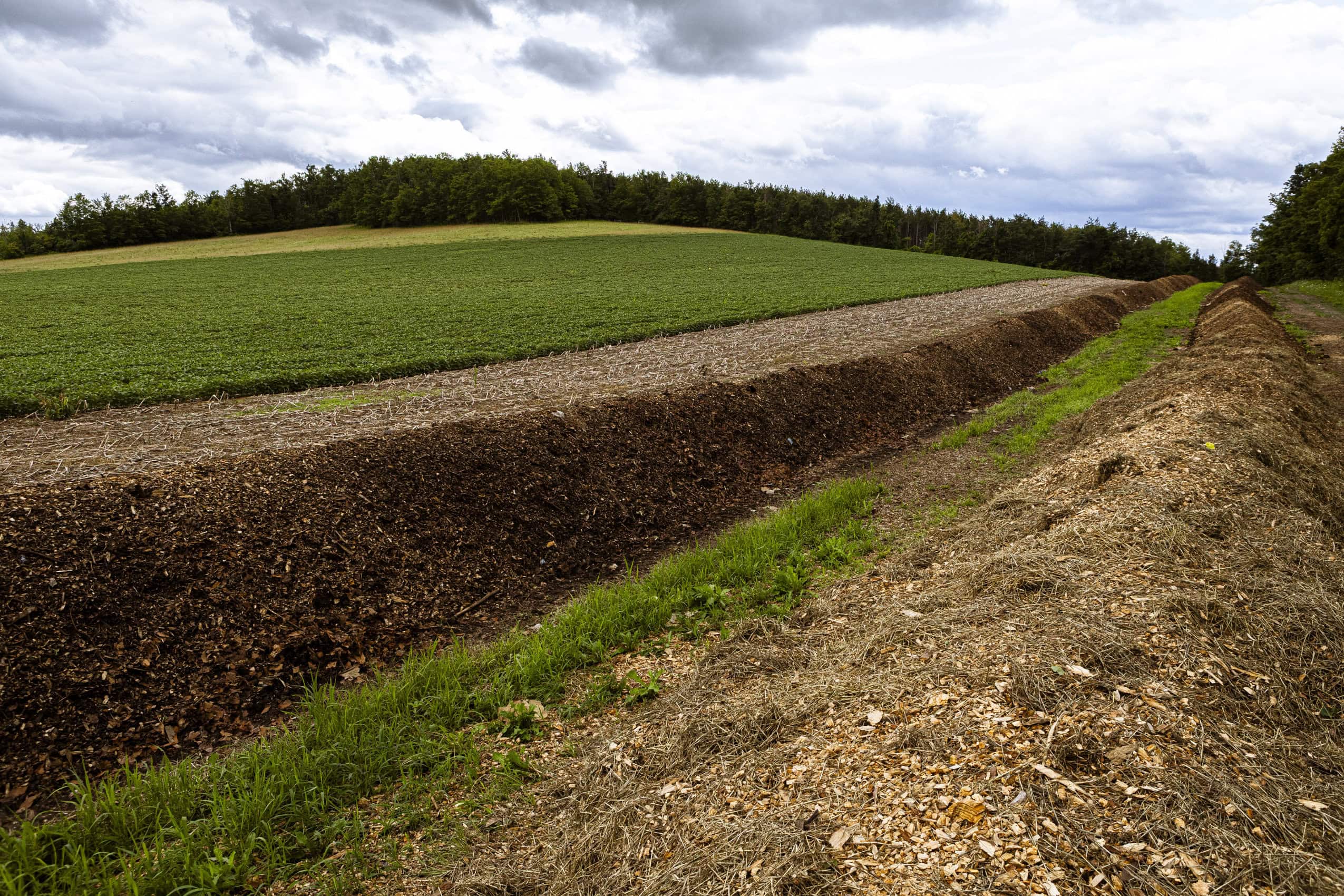 Plowed farm fields beside a field covered in greenery